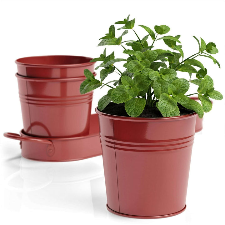 Herb Garden Planter | Indoor Planter Set with Tray or Outdoor Apartment Window Planter Box, Red