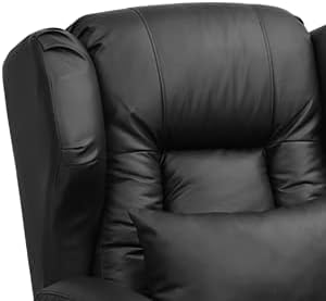 Electric Power Lift Recliner Chair Massage Heat