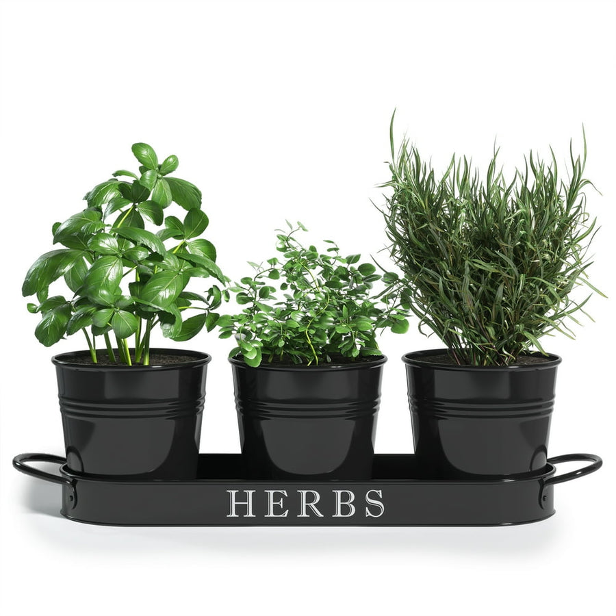 Herb Garden Planter | Indoor Planter Set with Tray or Outdoor Apartment Window Planter Box, Black