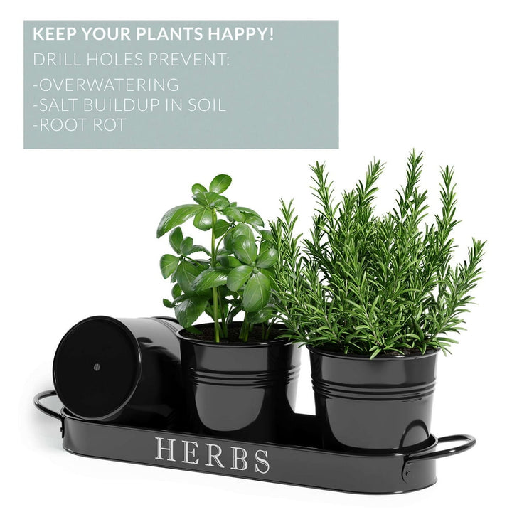 Herb Garden Planter | Indoor Planter Set with Tray or Outdoor Apartment Window Planter Box, Black