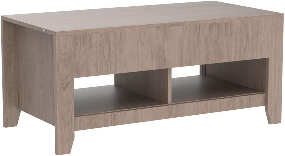 Modern Lift Top Coffee Table with Hidden Compartment, Light Gray