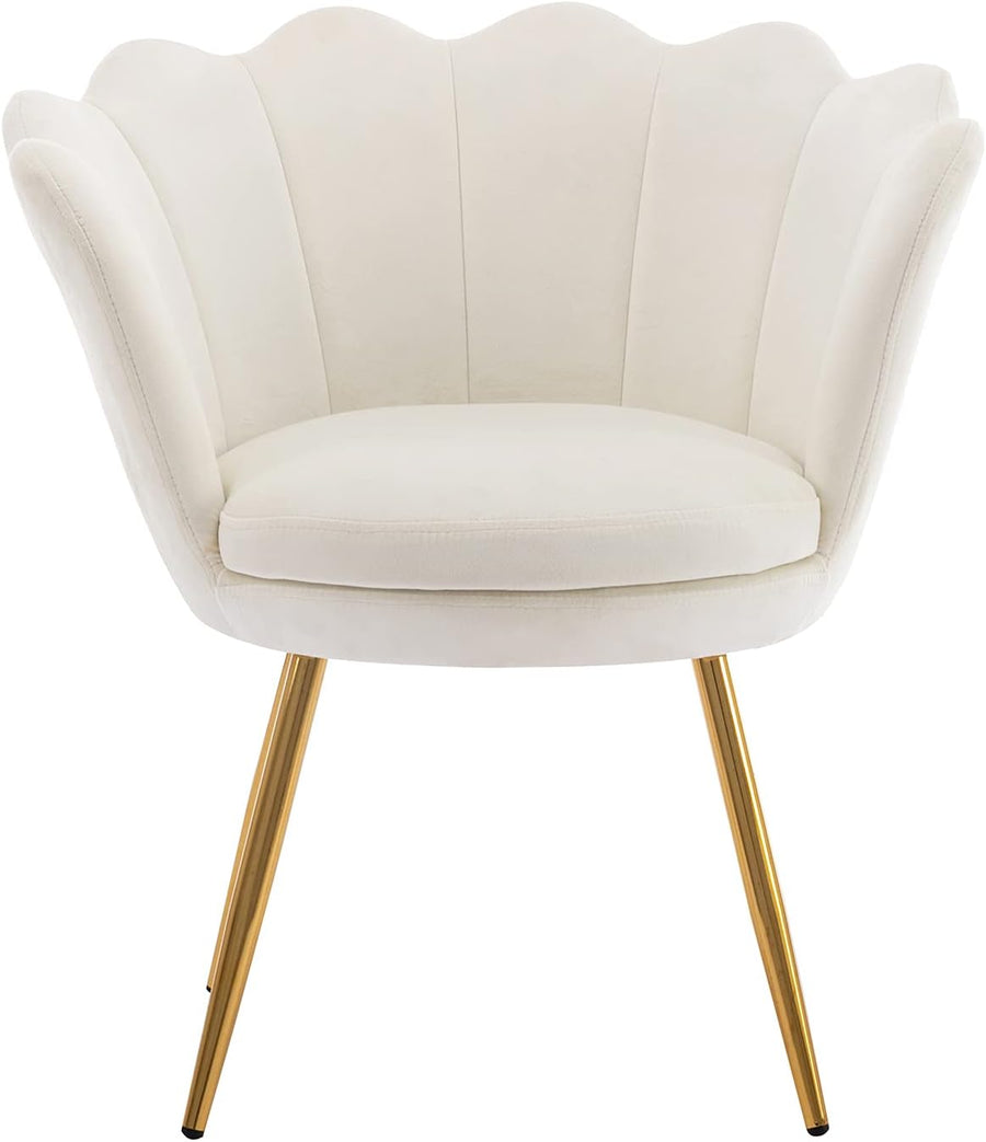 Small Accent Chair, Velvet Gold Cute Vanity Chair, Upholstered Shell Shaped Office Guest Modern Chair Arm Chair, Cream White