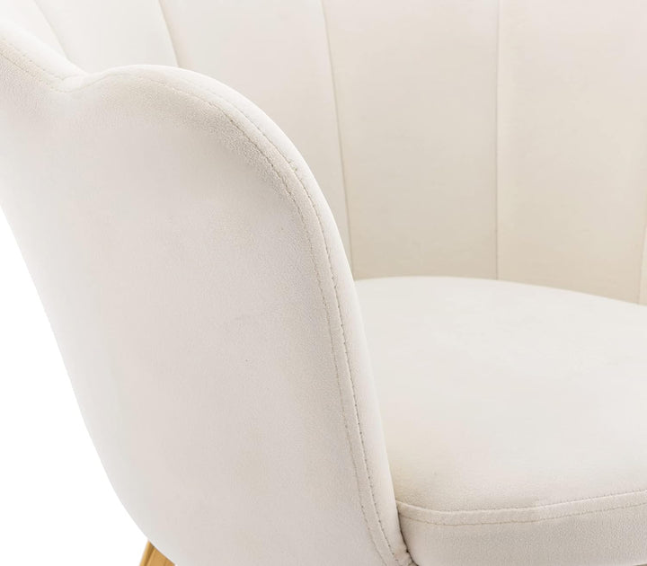 Small Accent Chair, Velvet Gold Cute Vanity Chair, Upholstered Shell Shaped Office Guest Modern Chair Arm Chair, Cream White