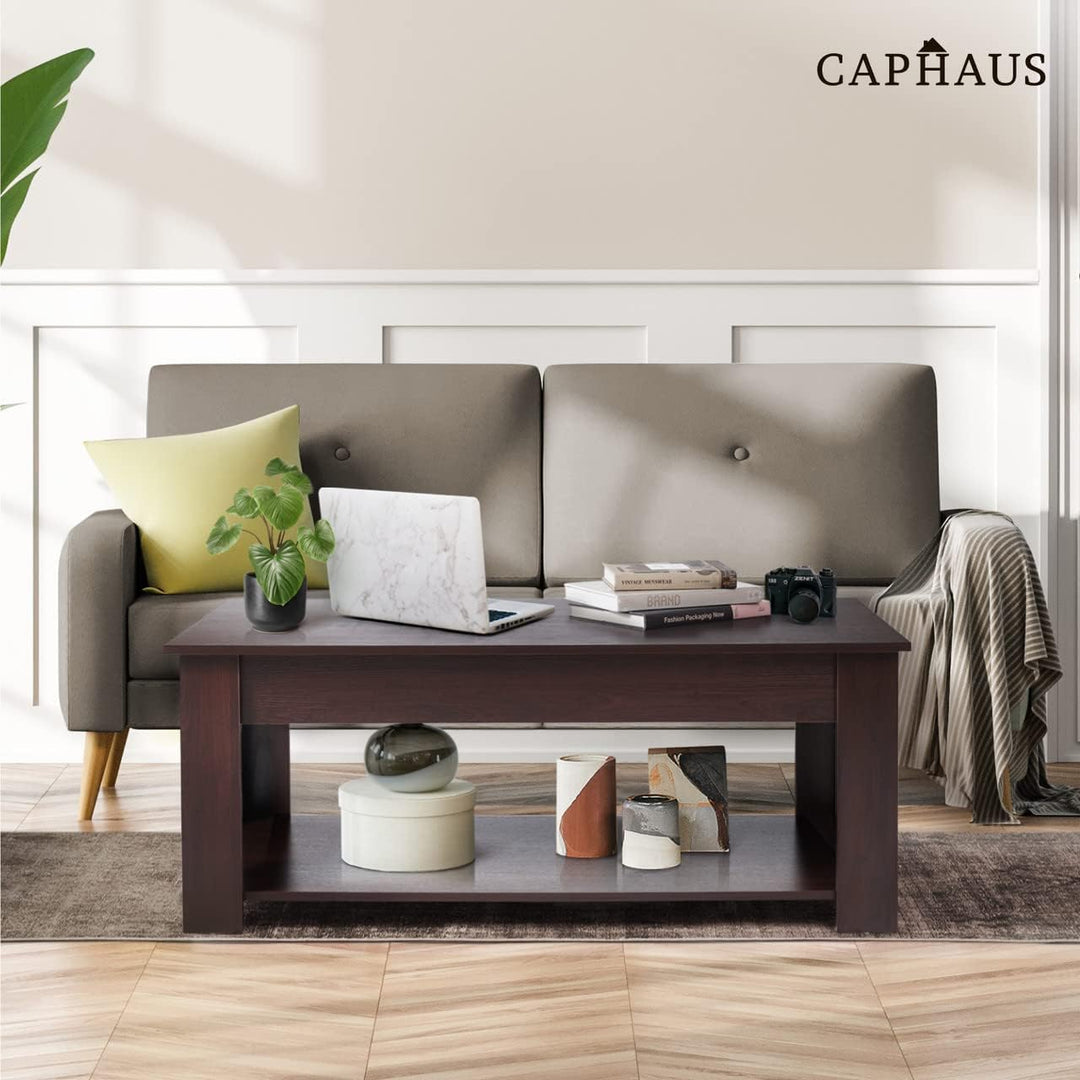 CAPHAUS Lift Top Coffee Table w/Storage, Natural Oak