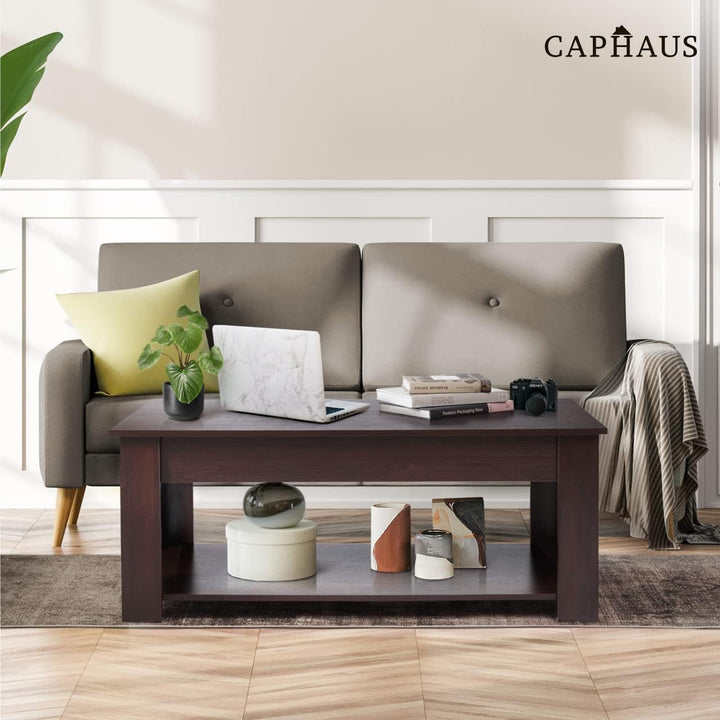 CAPHAUS Lift Top Coffee Table w/Storage, Natural Oak