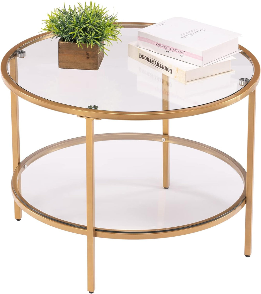 Elegant 2-Tier Glass Top Coffee Table, Gold Finish