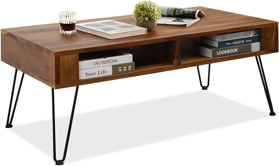 Mid-Century Modern Coffee Table with Storage, Vintage Brown