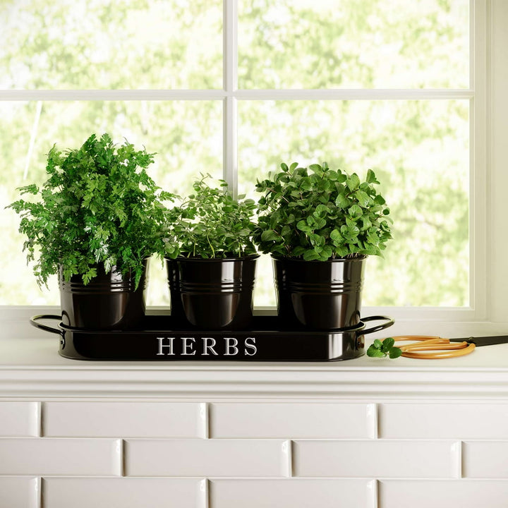 Herb Garden Planter | Indoor Planter Set with Tray or Outdoor Apartment Window Planter Box, Black