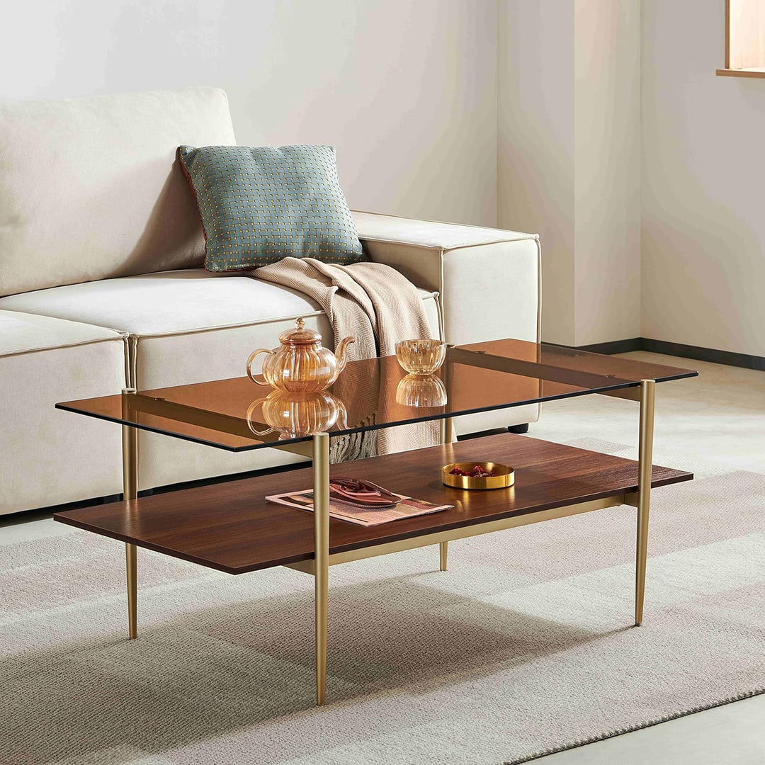 Elegant Double Layer Glass Coffee Table, Coffee Brown