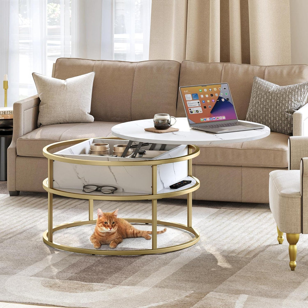 Lift Top Coffee Table with Hidden Storage, Modern Round Center Table