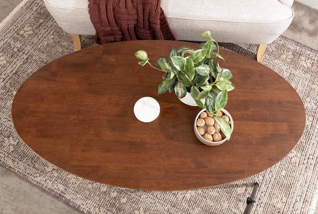 Nylah Mid-Century Modern Oval Coffee Table with Storage, Walnut Brown