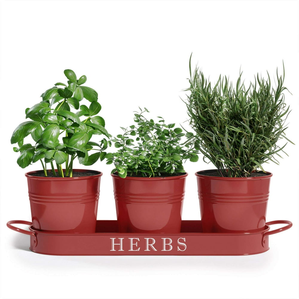 Herb Garden Planter | Indoor Planter Set with Tray or Outdoor Apartment Window Planter Box, Red