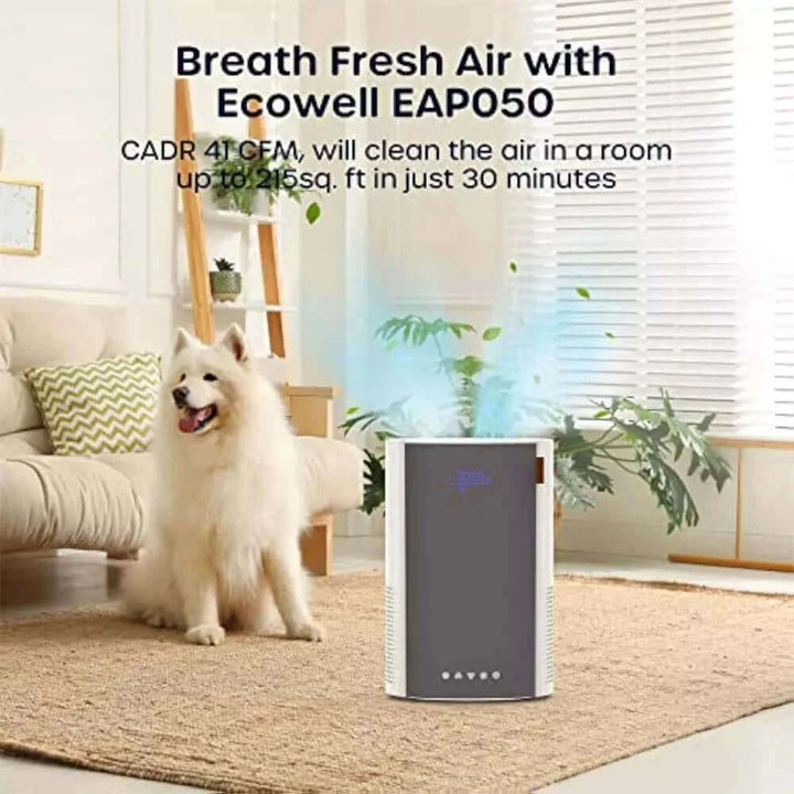 Ecowell Air Purifier for Bedroom, H13 HEPA Air Purifiers for Home