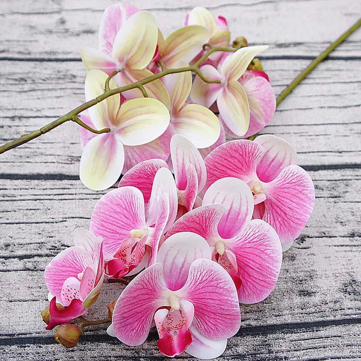 Artificial 3D Butterfly Phalaenopsis Orchid