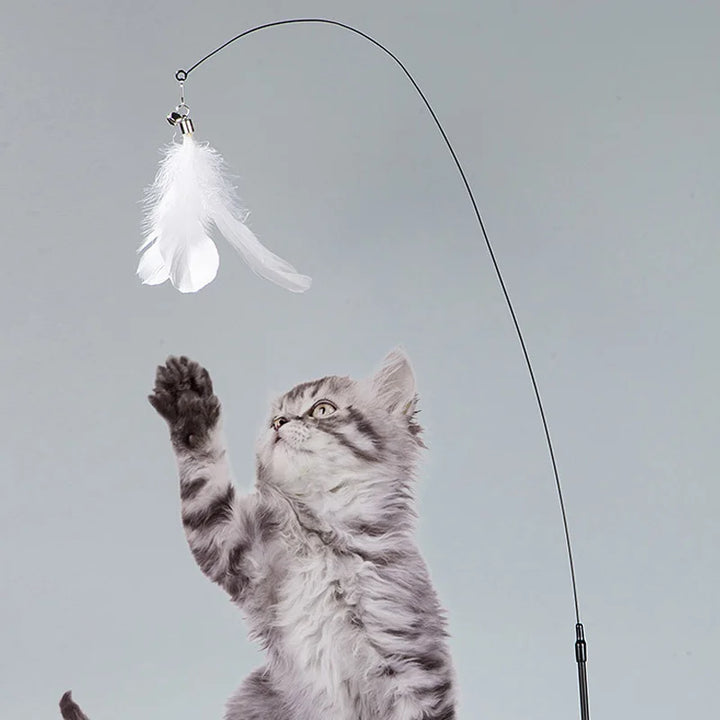 Interactive Cat Feather Wand Toy Set with Suction Cup