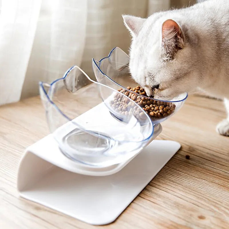 Non-Slip Double Pet Bowl with Stand - for Food and Drink