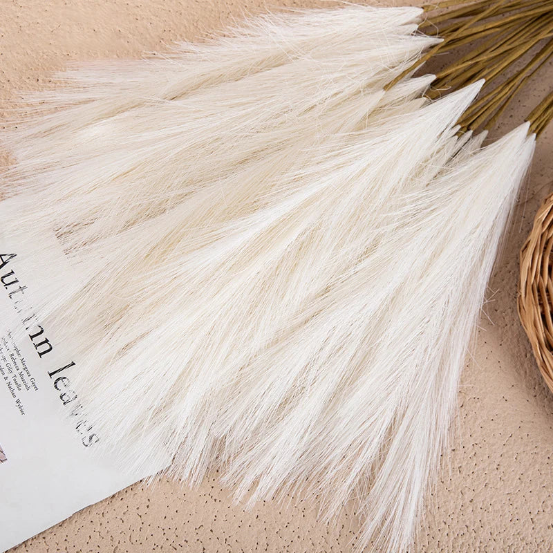 Fluffy Pampas Grass Boho Decor