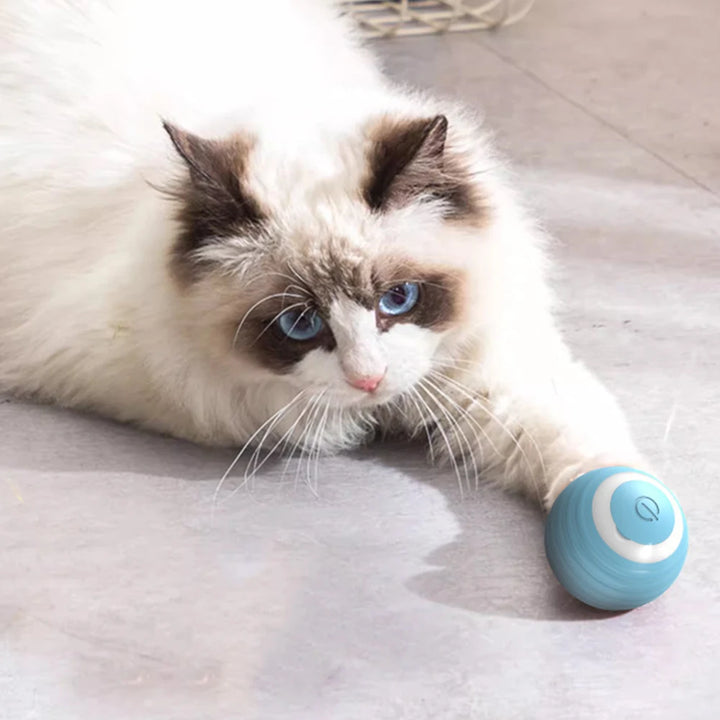 Smart LED Rolling Ball for Cats - Automatic Bouncing Cat Toy