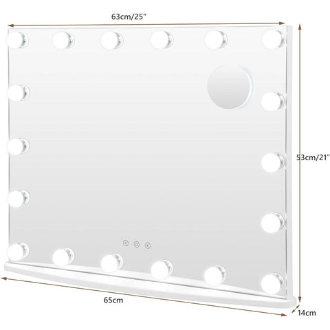 21 x 26 in Bathroom Mirror w/ Dimmable Lights + Removable 3X Magnifying Mirror