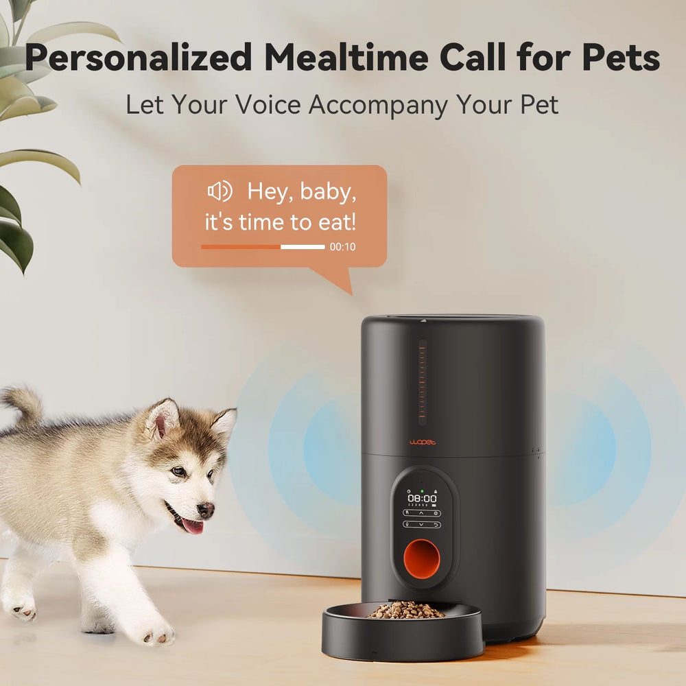 Automatic Pet Feeder with Stainless Steel Bowl