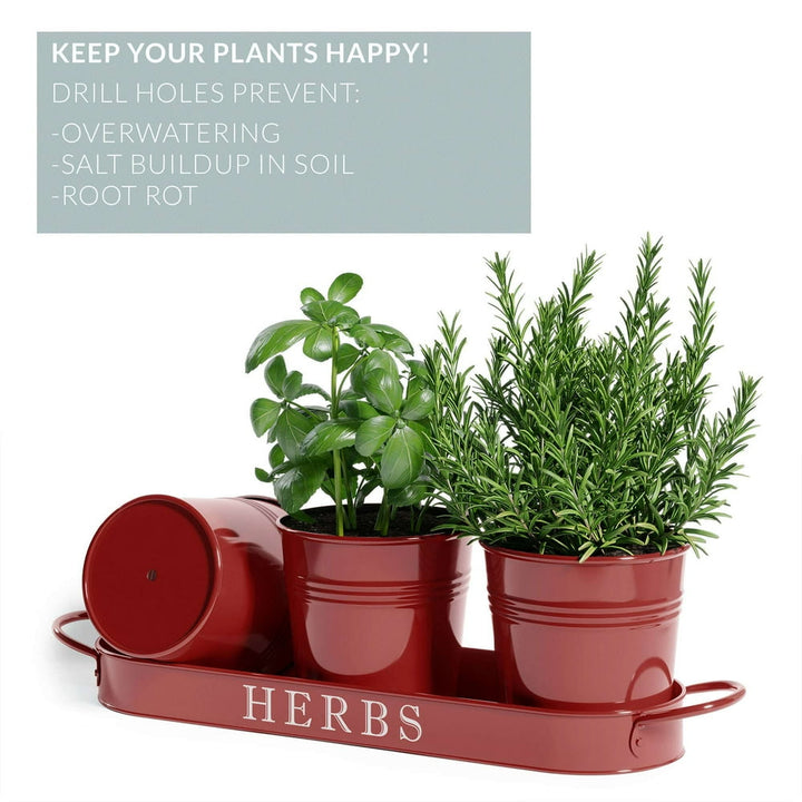 Herb Garden Planter | Indoor Planter Set with Tray or Outdoor Apartment Window Planter Box, Red