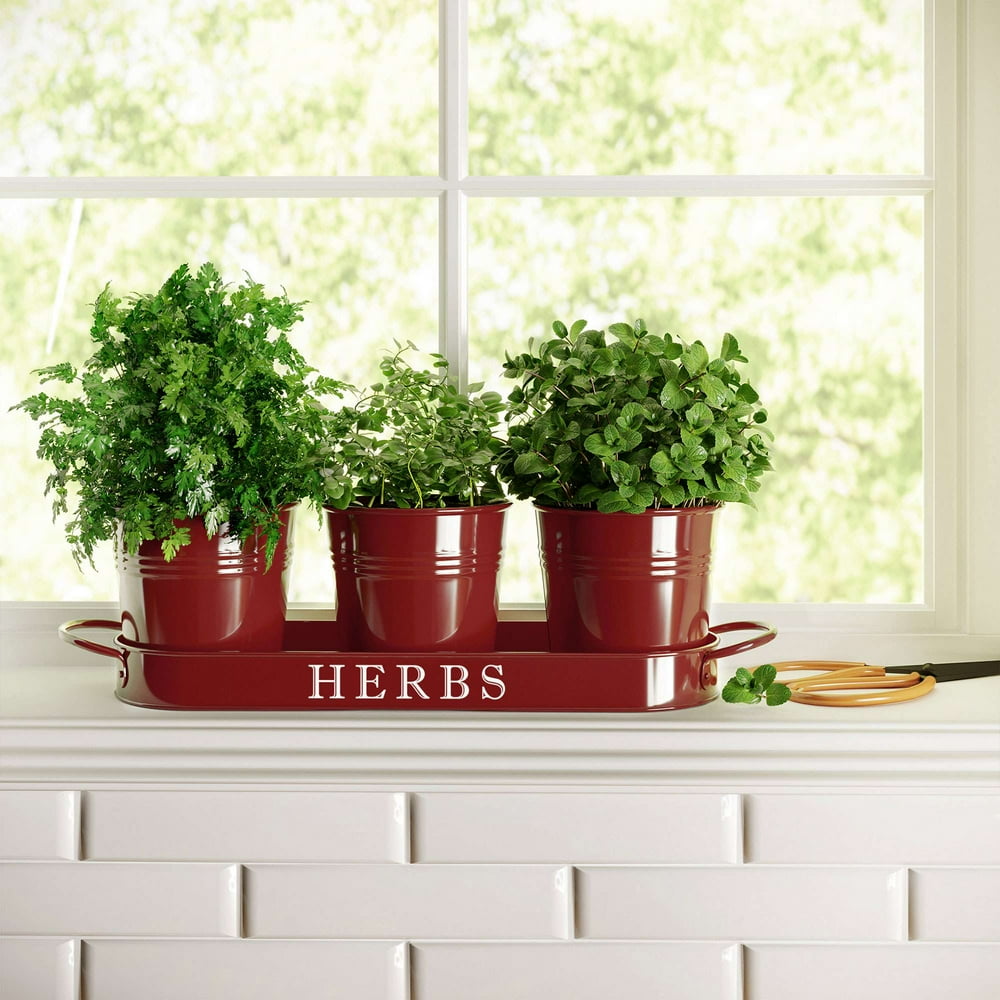 Herb Garden Planter | Indoor Planter Set with Tray or Outdoor Apartment Window Planter Box, Red