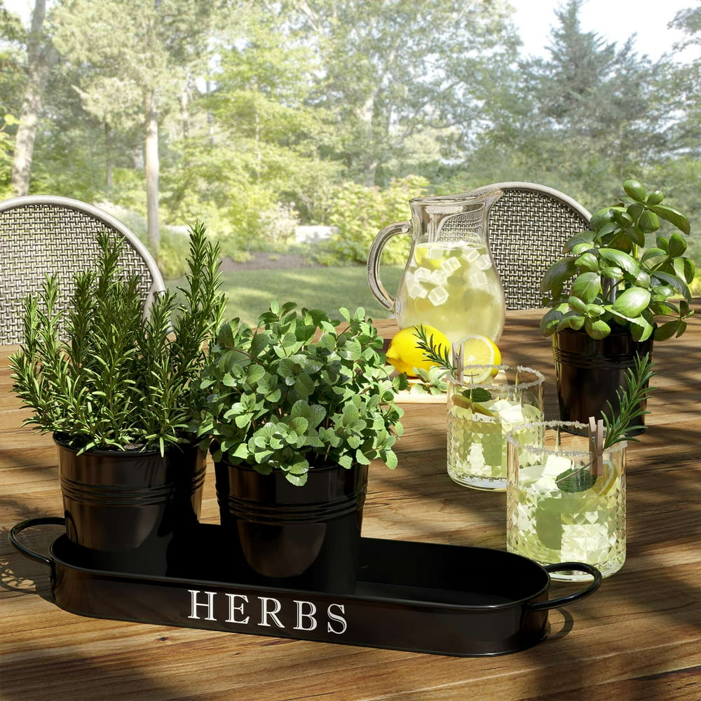 Herb Garden Planter | Indoor Planter Set with Tray or Outdoor Apartment Window Planter Box, Black