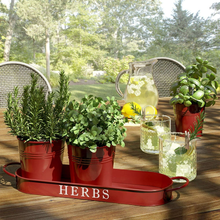 Herb Garden Planter | Indoor Planter Set with Tray or Outdoor Apartment Window Planter Box, Red