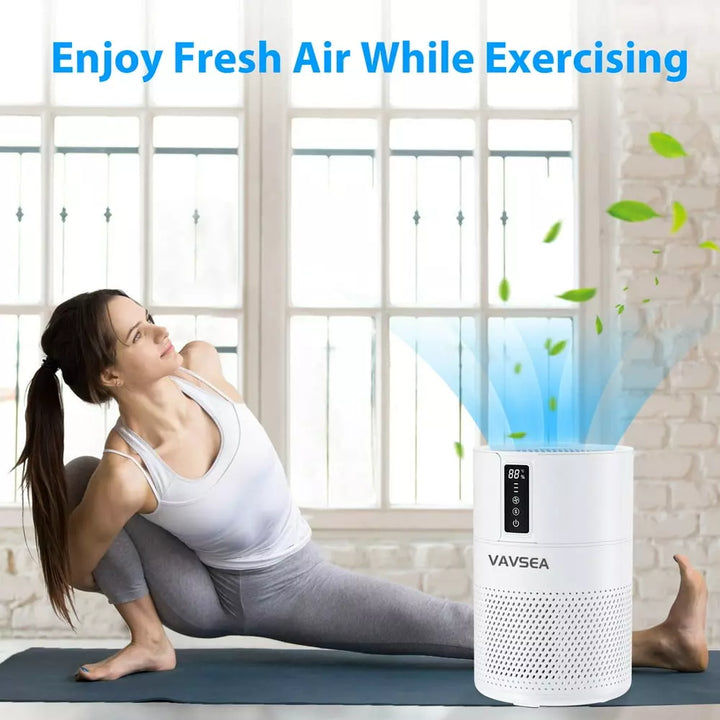 VAVSEA HEPA Air Purifier: Large 600 Sq ft Coverage